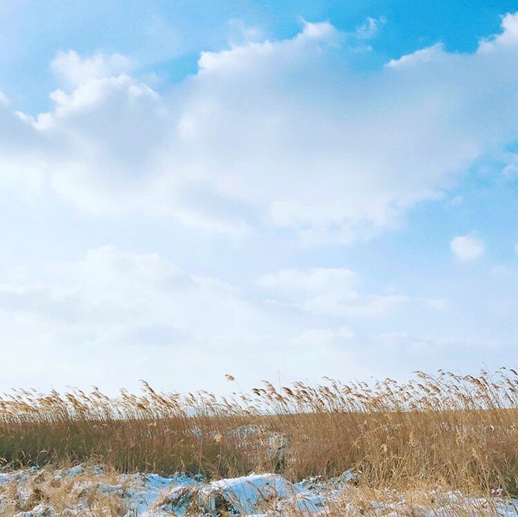 Beautiful pictures taken by Kim Taehyung aka vante — a thread 