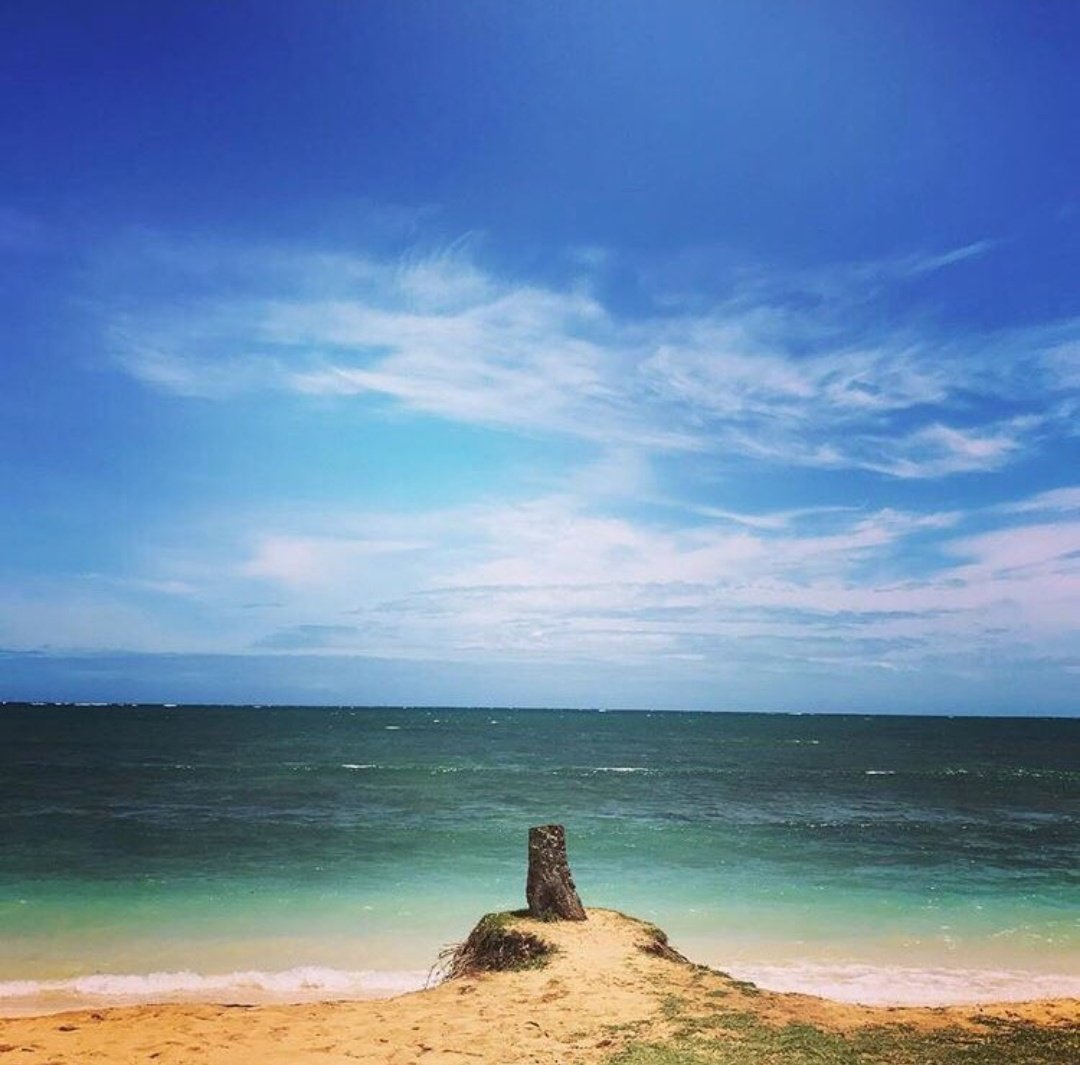 Beautiful pictures taken by Kim Taehyung aka vante — a thread 