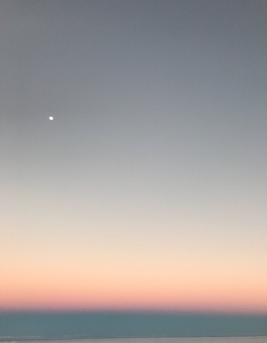 Beautiful pictures taken by Kim Taehyung aka vante — a thread 