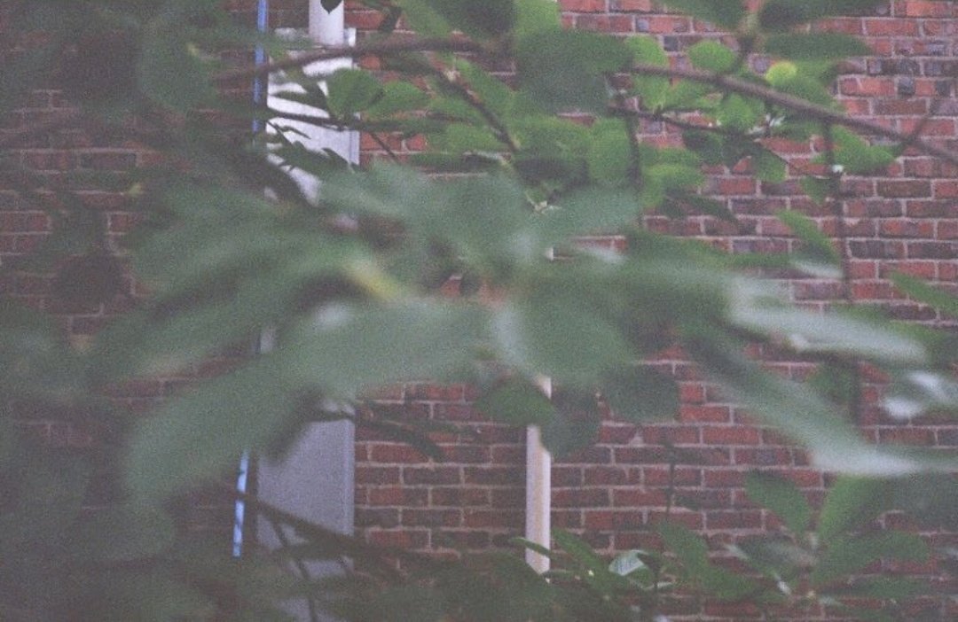 Beautiful pictures taken by Kim Taehyung aka vante — a thread 