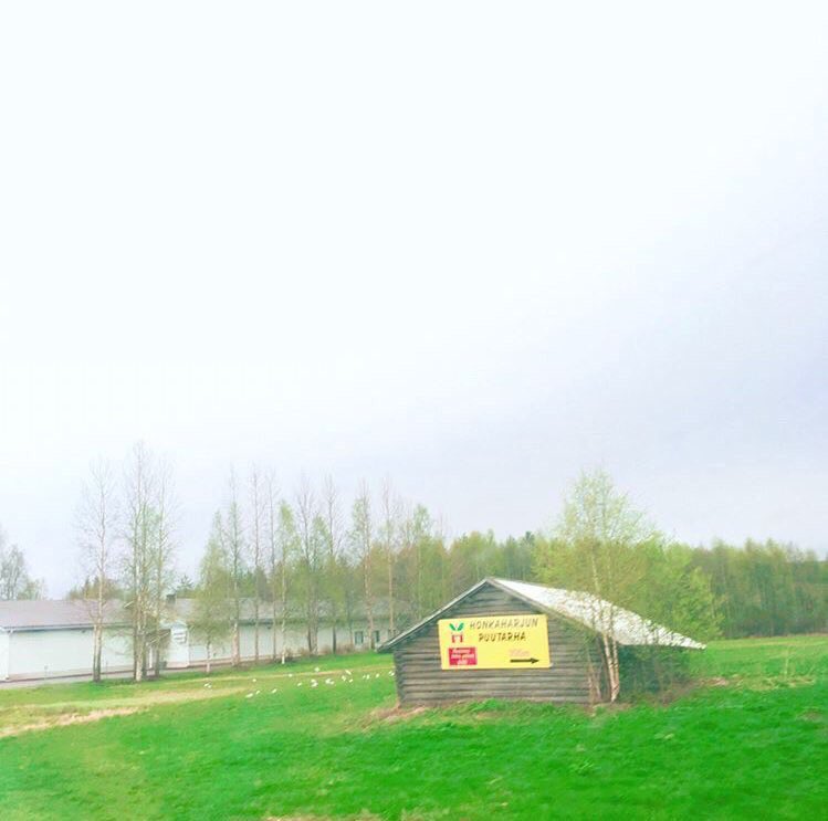 Beautiful pictures taken by Kim Taehyung aka vante — a thread 