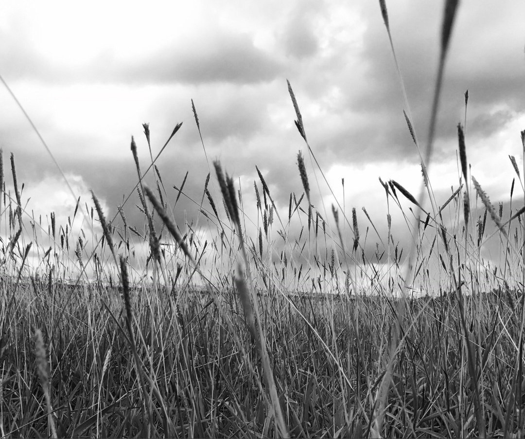 Beautiful pictures taken by Kim Taehyung aka vante — a thread 