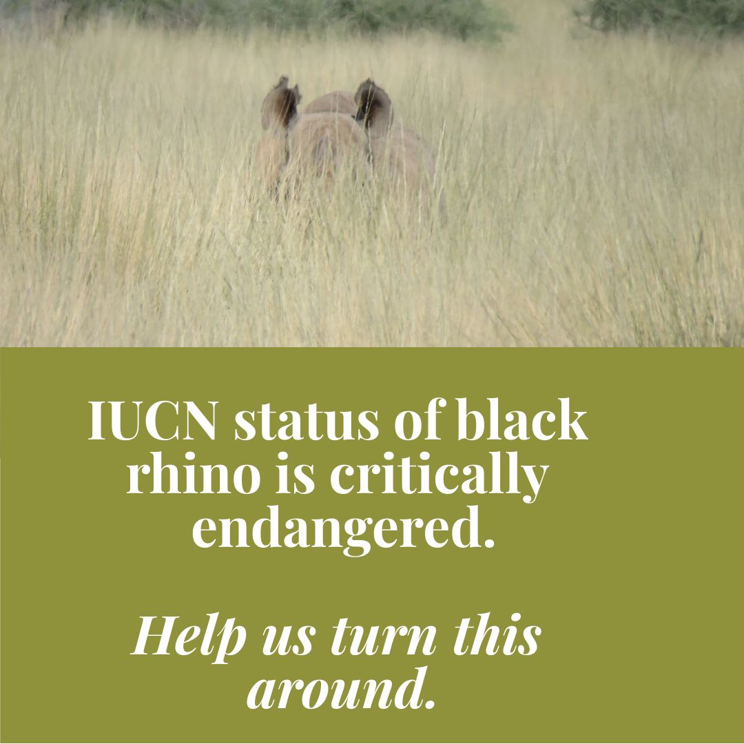Today there is less than 5,630 black rhino left on earth. Extinction can not be fixed. Help us protect them.

#savetherhino #blackrhino #rhino #conservation