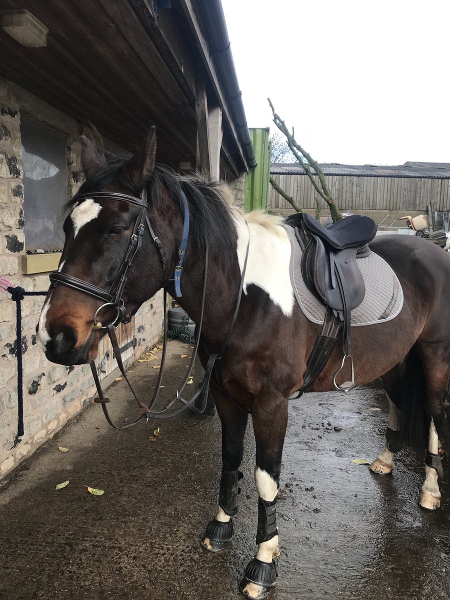 Linval15's tweet image. day 6/7

I’ve been nominated by @tracytsikai1 to post a picture a day for 7days to illustrate my daily life( no people)
You have to copy these words, add photo and repeat the challenge.                                                      Today I nominate ⁦@A_Jaye01⁩