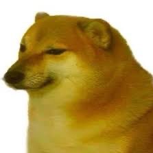 captianfrog's tweet image. #NewProfilePic