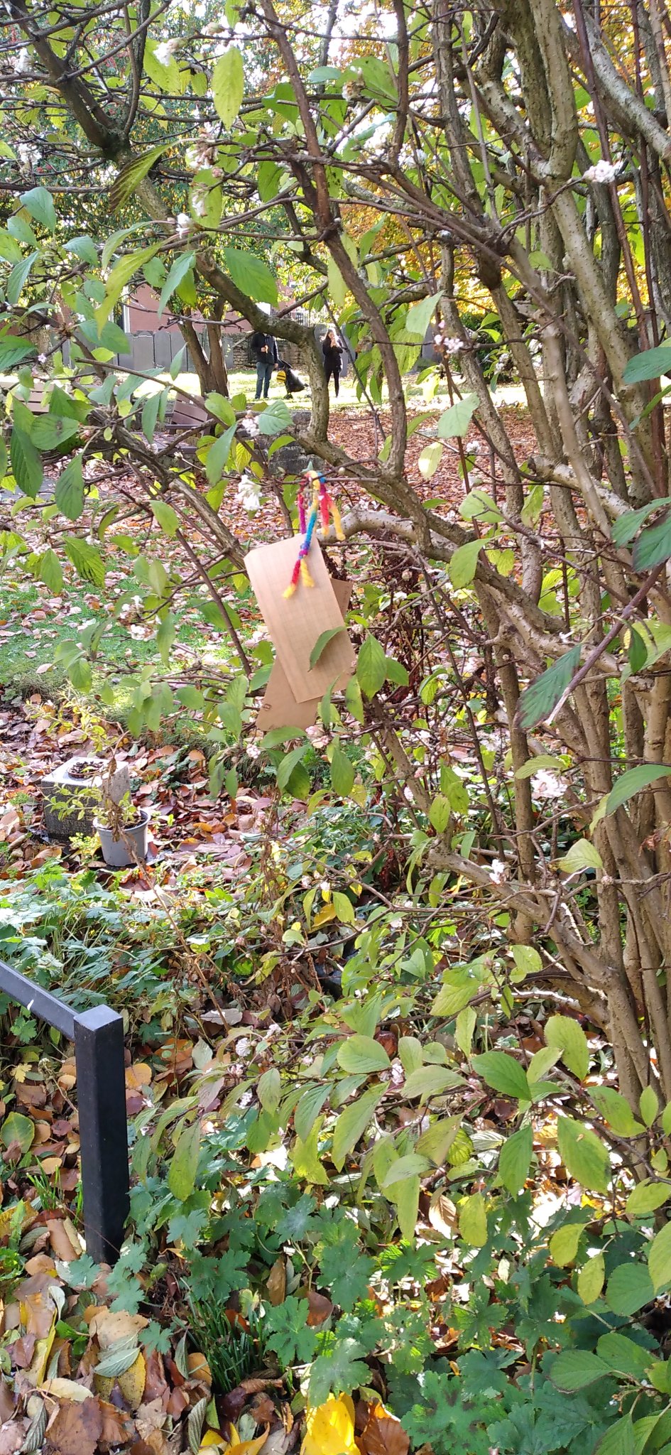 Day10 :: L  Yup I'd never heard of it either and looking at the syntax it's not got a small footprin (Image 2)