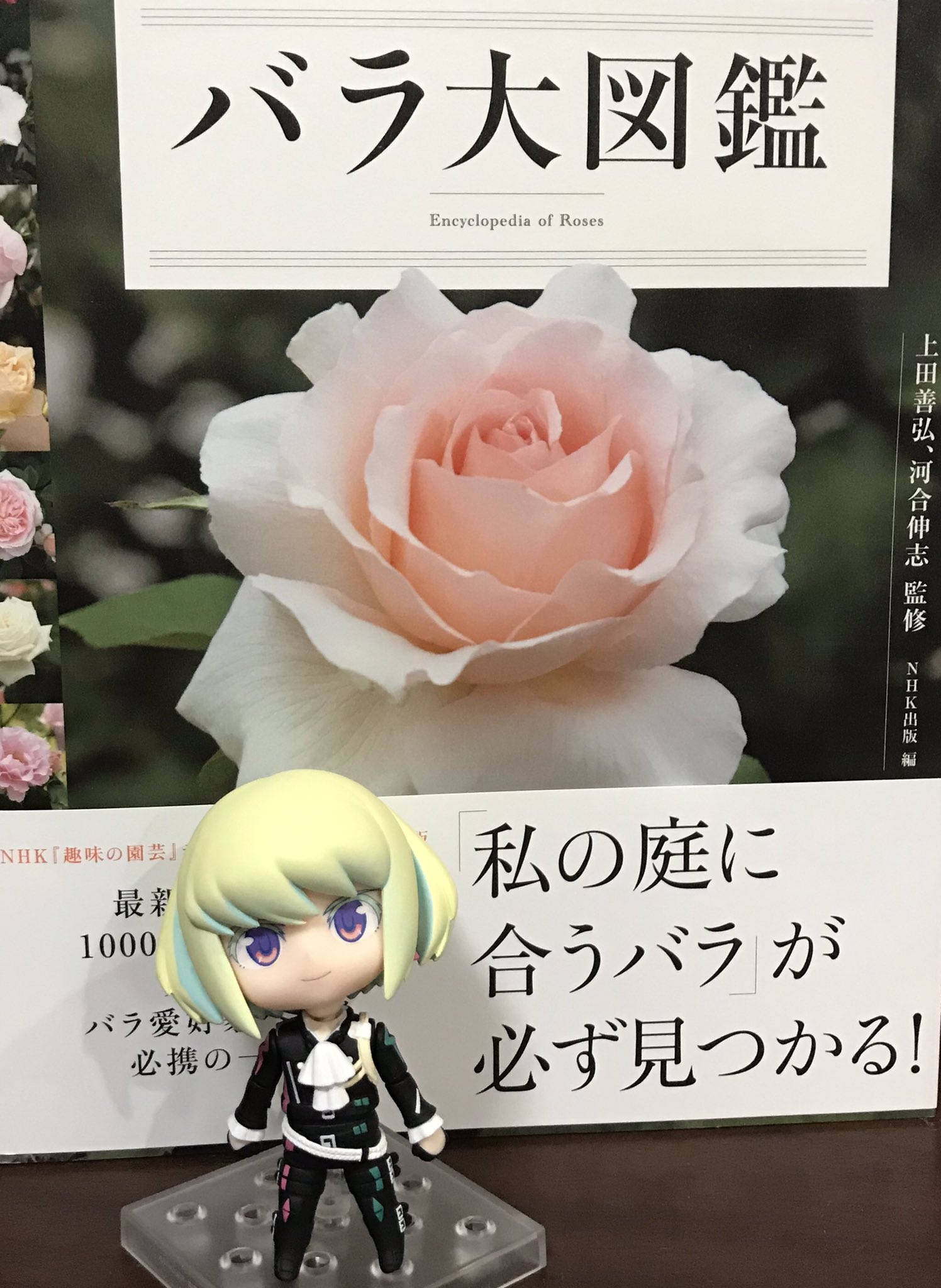 ひっそり 庶 民 Nhk出版 別冊nhk趣味の園芸 バラ大図鑑 自立する厚い御本であったことだよ 薔薇の写真がいっぱいあって初心者にもわかりやすい丁寧な解説が嬉しい 初めてのバラ苗お迎えに 実はどうしようかと思っていたけれど この本を教科書にして