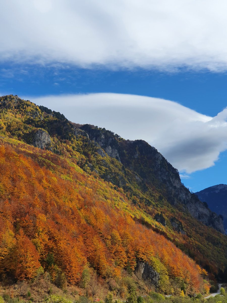 jetonkorenica7's tweet photo. @imageofkosovo 🍂
📍 Rugovë, Kosovë https://t.co/ZFImCjEpVj