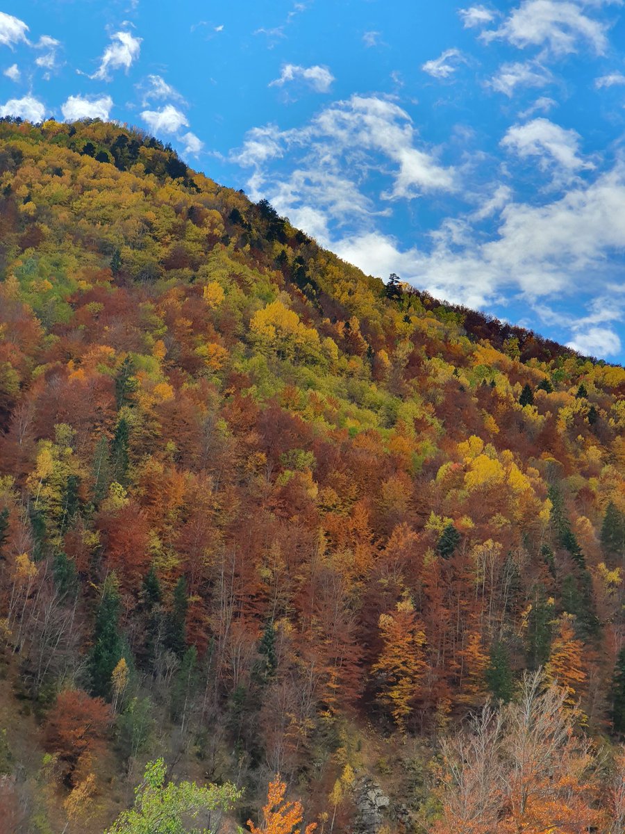 jetonkorenica7's tweet photo. @imageofkosovo 🍂
📍 Rugovë, Kosovë https://t.co/ZFImCjEpVj