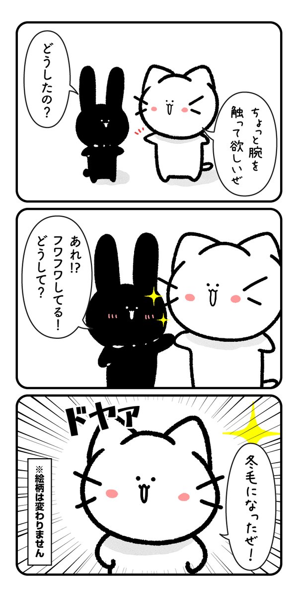 37匹目
「冬がはじまるよ」

#四コマ漫画 #ゆるいイラスト 