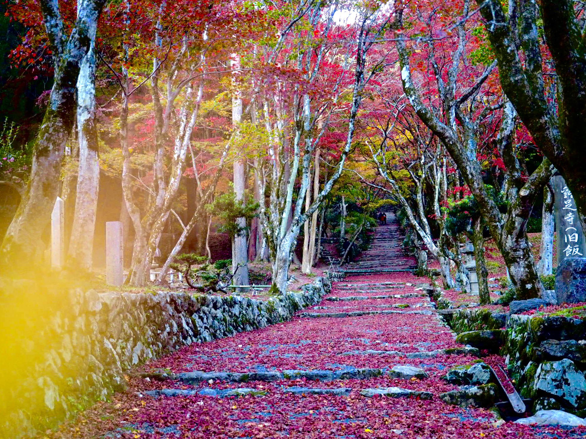 池内 トプ画にどれ使おうか 新しい写真のネタがないから前のだけど 壁紙 Iphone壁紙 Iphone待ち受け 待ち受け画像 夜空 星空 夜景 紅葉 秋 鶏足寺 糺ノ森 下鴨神社 チームラボ T Co Qkz7v133qn Twitter