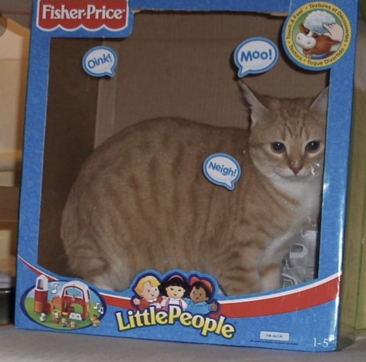 Watercatlor tweet media