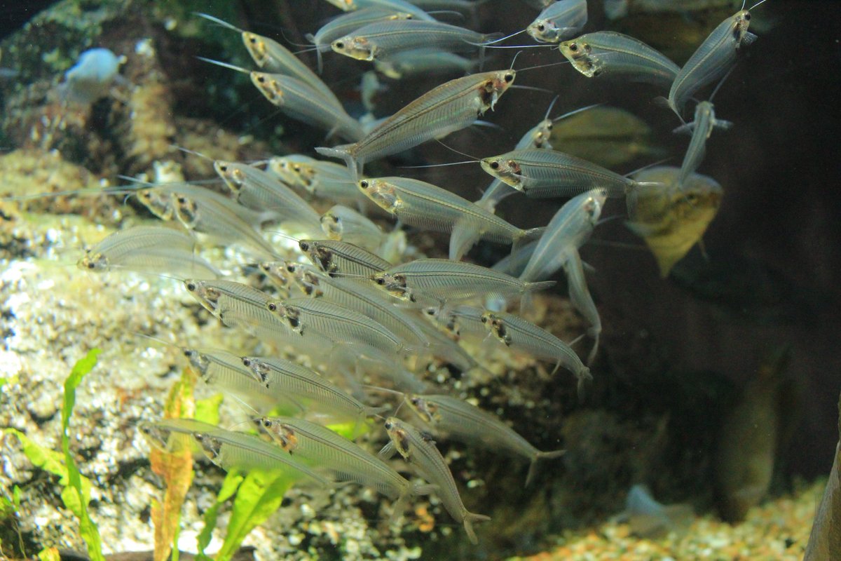 ko_mori4 tweet media