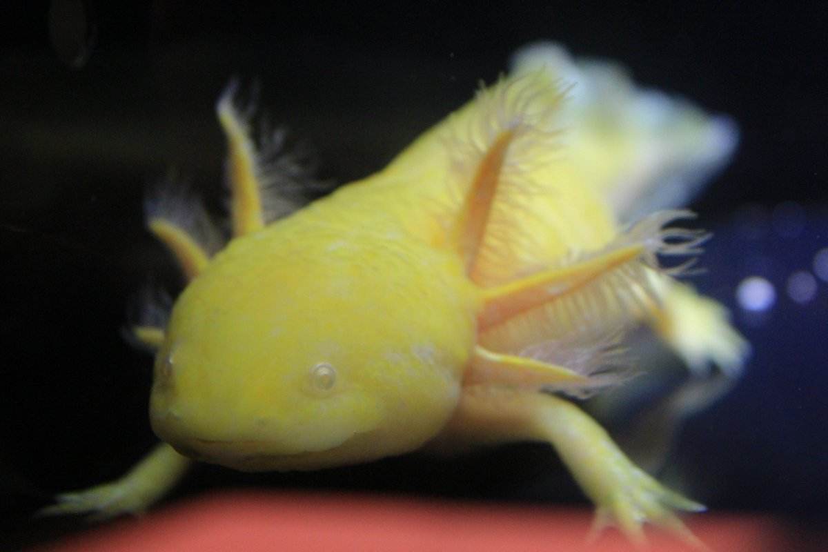 ko_mori4 tweet media