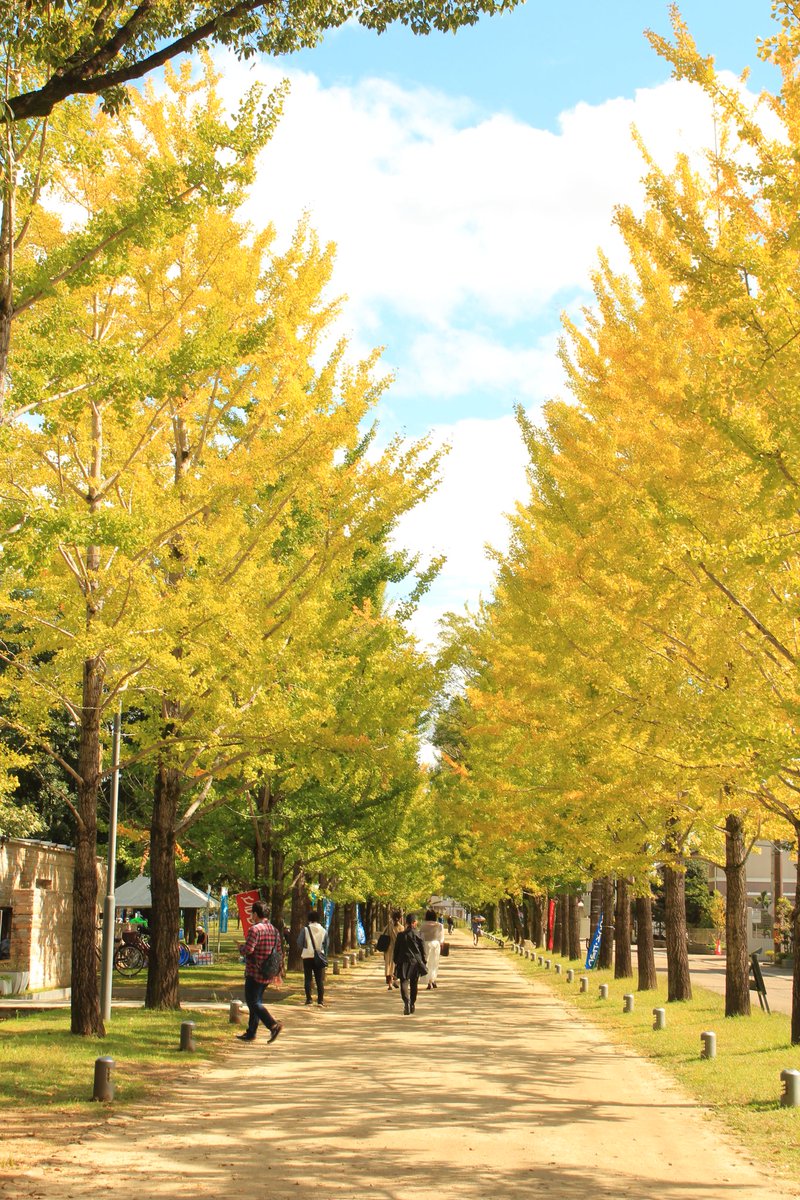 ko_mori4 tweet media