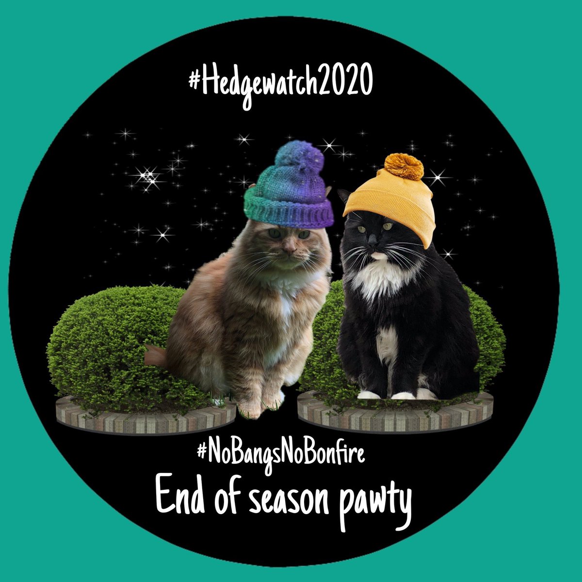 EricTheCat_Bham's tweet photo. #NewProfilePic Thanks so much @BigBlackBeast4 ๐บ๐บ๐บ
Proud members of the great #Hedgewatch2020 crew ๐ณ๐๐๐บ
#EricTheCat #CatBro #AdoptDontShop #CatsOfTwitter #NoBangsNoBonfire #PawtyTime ๐ธ๐ธ๐ธ https://t.co/9beoPMzNZx