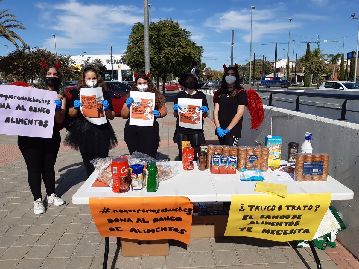 BYellowsquad's tweet photo. GRACIAS, GRACIAS, GRACIAS A TODOS LOS QUE COLABORARON CON NOSOTROS!!! Fue un #halloween diferente, una experiencia increíble. Todo lo recaudado está en @_CARITAS de Churra. #noqueremoschuches  #beachyellowsquad https://t.co/tWOKxua4vH