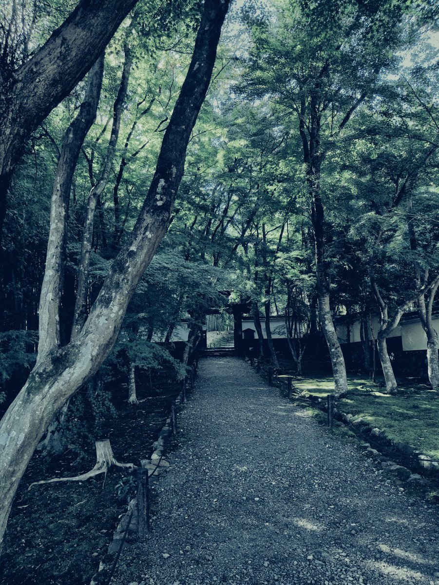 tmrkntr's tweet image. 異世界への入口風
#lowsaturation
#lowcontrast