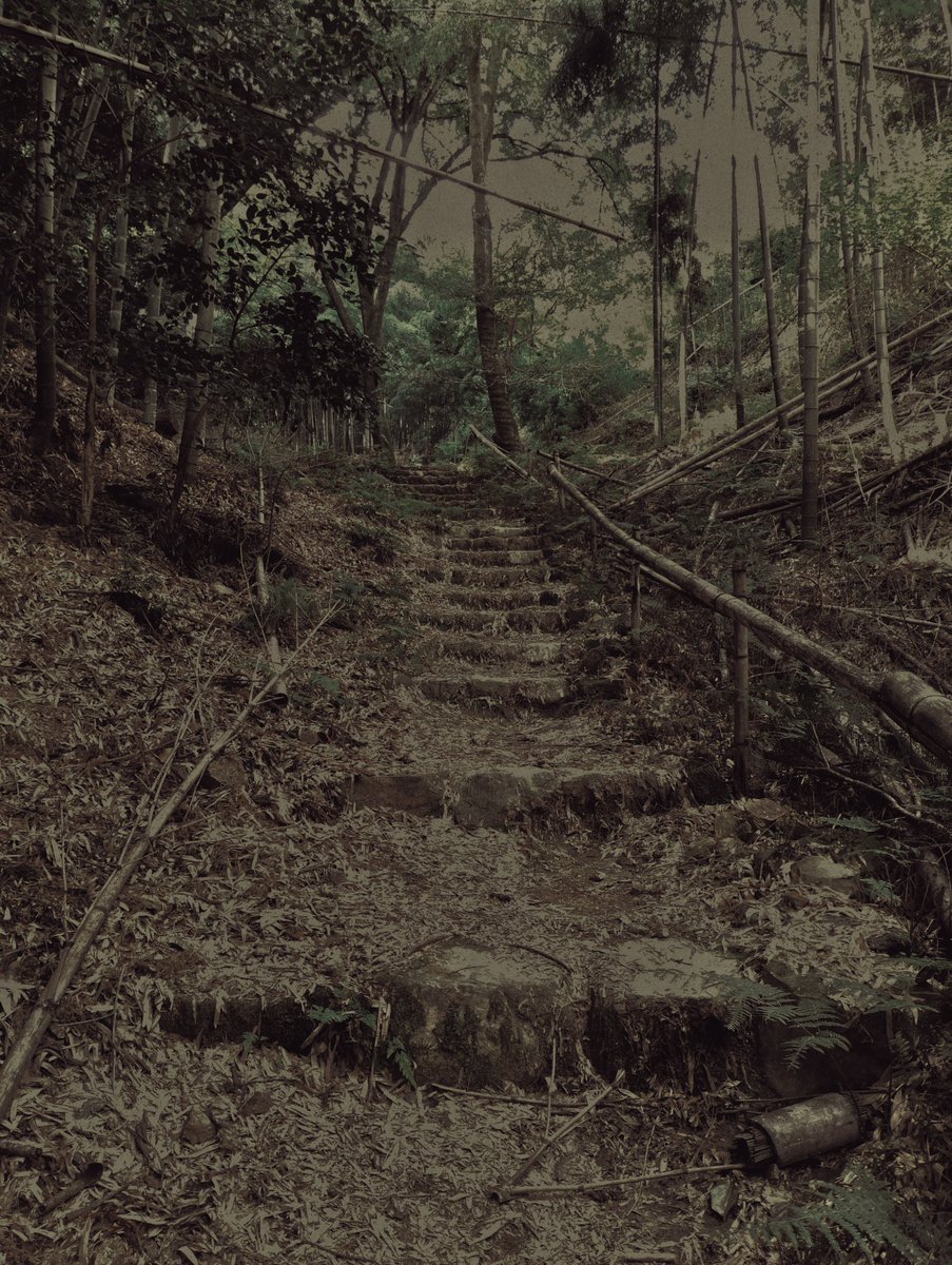 tmrkntr's tweet image. 異世界への入口風
#lowsaturation
#lowcontrast