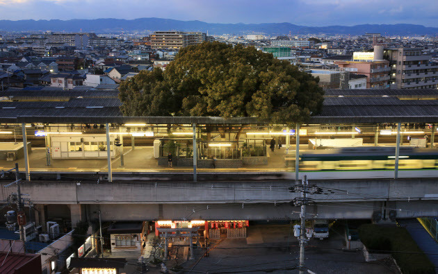 Les gares construites autour d'un arbre sacré, soigneusement préservé :- la gare de Kayashima (Osaka),- la gare de Hattori-tenjin (Osaka).
