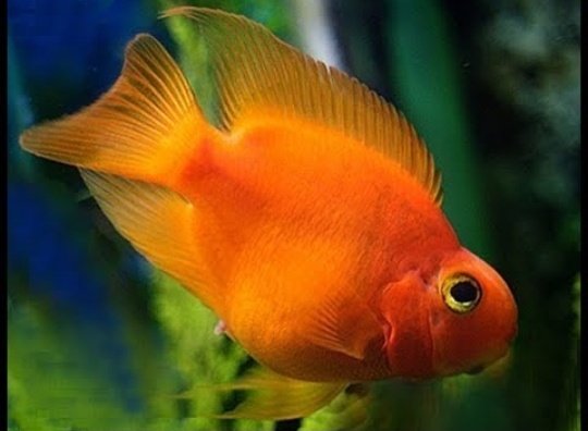 A Thread ~  #VivianDsena X 