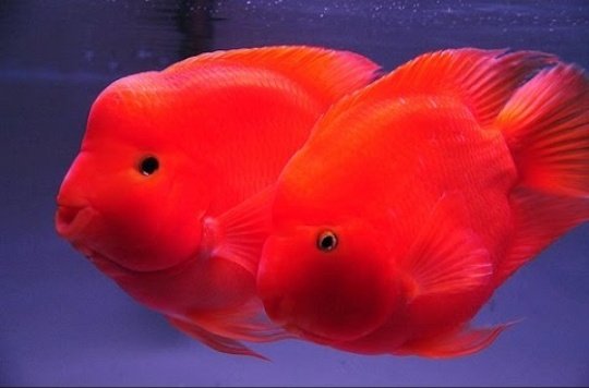 A Thread ~  #VivianDsena X 