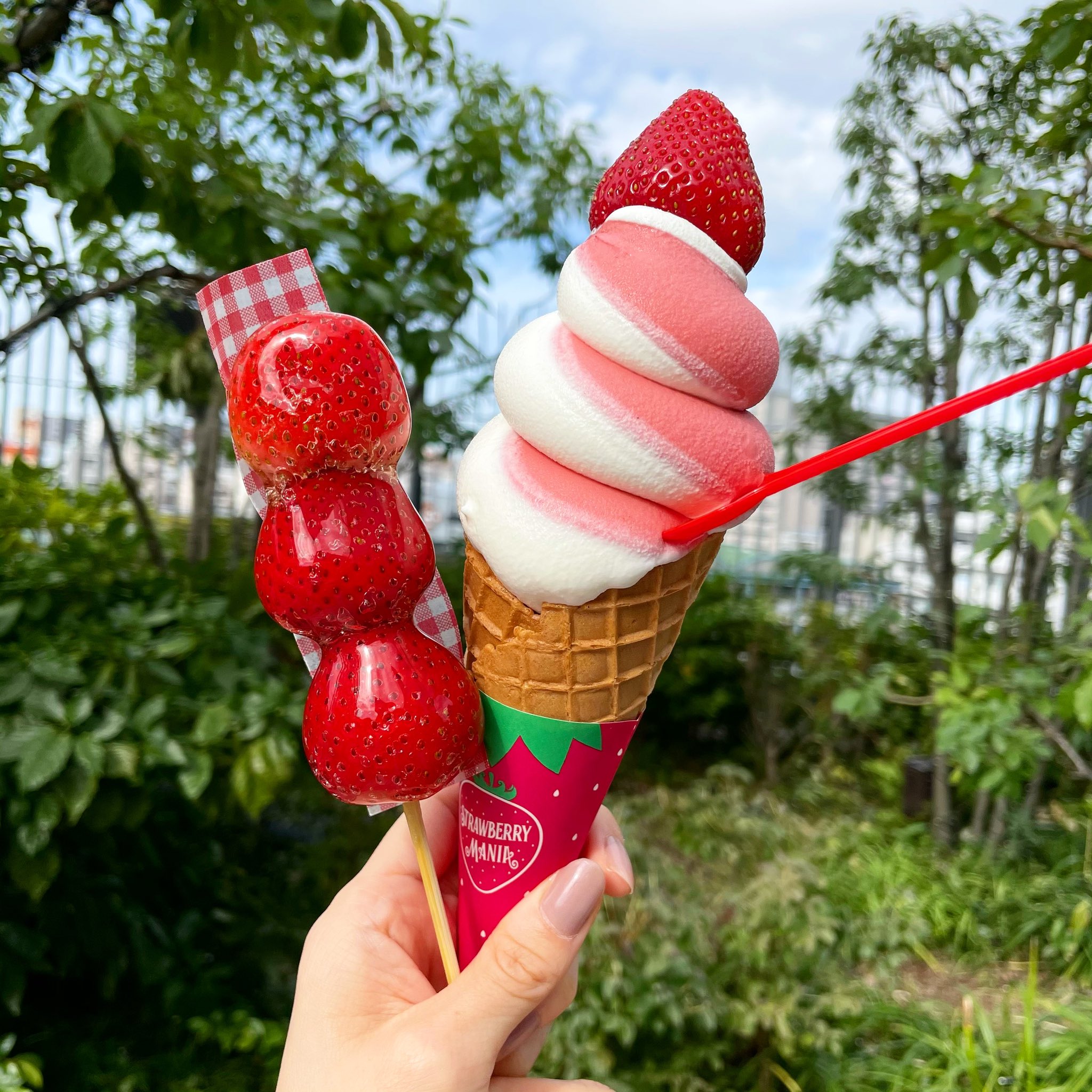 りょうくんグルメ On Twitter まじでこの世の全てのいちご好きに教えてあげたいんだが東京スカイツリーの ストロベリーマニア には全ての 人間を虜にする禁断のストロベリーソフトがある これがあまずっぱくて超絶美味いからぜひ全国のいちご好き いちごを愛する者