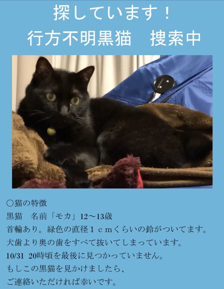 Suzxuki 知人の猫さんが帰ってこないので捜索願いです 世田谷あたりにお住まいの方 人懐こい猫です 警察にも届けてあるので見かけたらお近くの交番などにお願いします 拡散希望 猫好きさんと繋がりたい 迷子 迷い猫 かぎしっほ 黒猫 世田谷