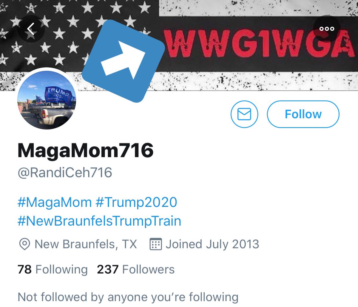 Randi Ceh, one of the leaders of the “New Braunfels Trump Train” thugs is Qanon.
