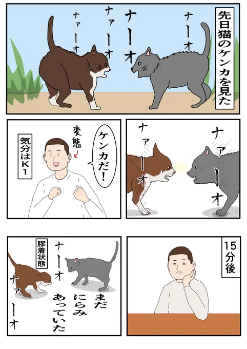 『猫のケンカを見た』
#コルクラボマンガ専科 