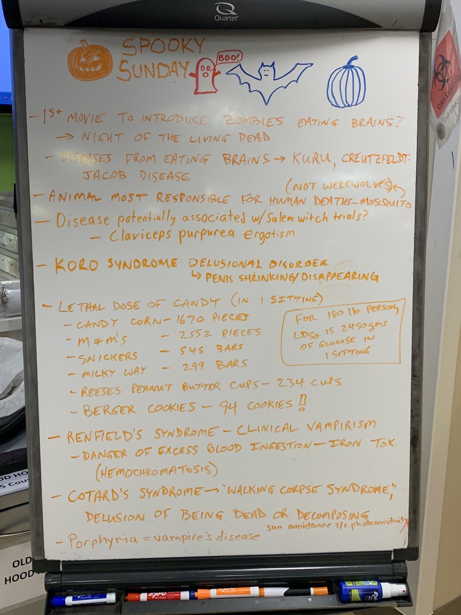 amalmattu's tweet photo. Saturday night shift with some Halloween pearls ⁦with a great team:⁩ ⁦@EDthisisBecca⁩ ⁦@DrLauraER⁩ ⁦@SpencerLovegrov⁩ ⁦@cliki_naki⁩ #foamed #WhiteBoardTeaching https://t.co/slVz0JIX2C