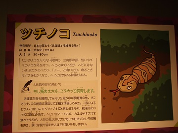 ゴハッスン情報館 ツチノコ の初登場が 古事記 というのはカヤノヒメのことだろうか だとしたら 同じ愛知県内にはカヤノヒメをお祀りしている神社があることにも少しは触れるべきではないだろうか