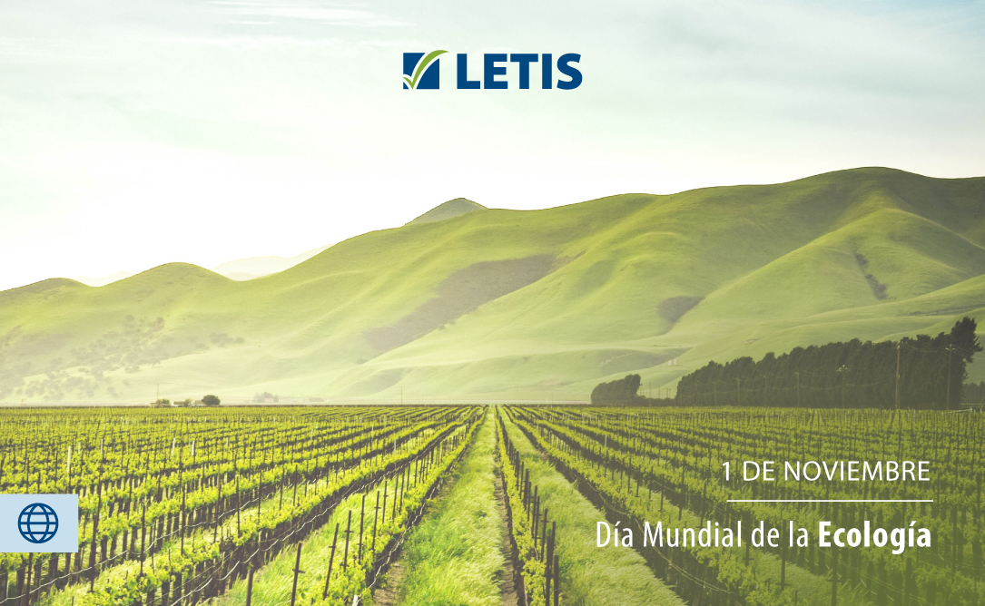 Letis_Calidad's tweet photo. Hoy celebramos el Día Mundial de la Ecología 🌱🌎 Porque creemos esencial concientizar sobre la importancia de mantener una relación armónica con nuestro medio ambiente.⁣⁣ #LETIScertificadora.⁣⁣ https://t.co/xDppBlEZiW