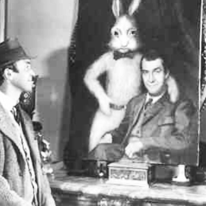 FussyFilm's tweet photo. Happy #FirstofNovember everyone.
#rabbitrabbit https://t.co/TuVibRSkEd