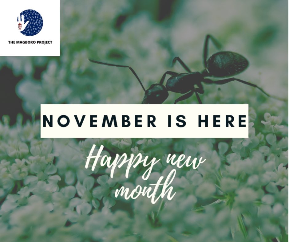 magboroproject's tweet photo. Little wins lead up to bigger wins
Keep winning in your corner this month!
Happy New Month from THE MAGBORO PROJECT!💕
Bear in mind our Outreach on the 26th &amp; 27th of December🤗
follow @themagboroproject on IG for more updates! https://t.co/kBfKLyWlTX