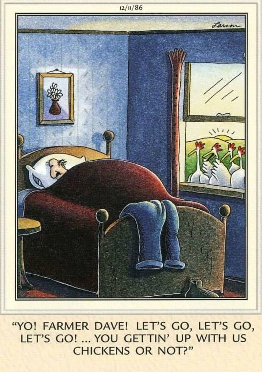 DFab1959's tweet image. #dfabtoonoftheday: #SpringForwardFallBack