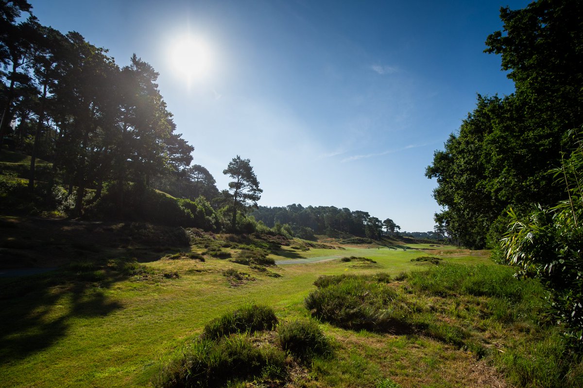 Our CEO has written an open letter to all golfers following yesterday's announcement from the Prime Minister.

Read here: englandgolf.org/ceos-letter-to…