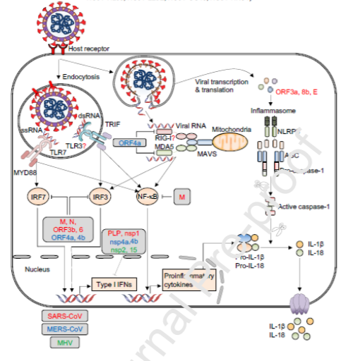 ImmunoLatinXs tweet picture