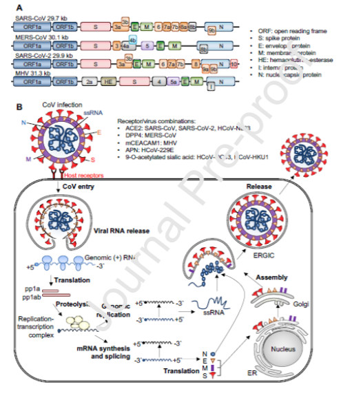 ImmunoLatinXs tweet picture