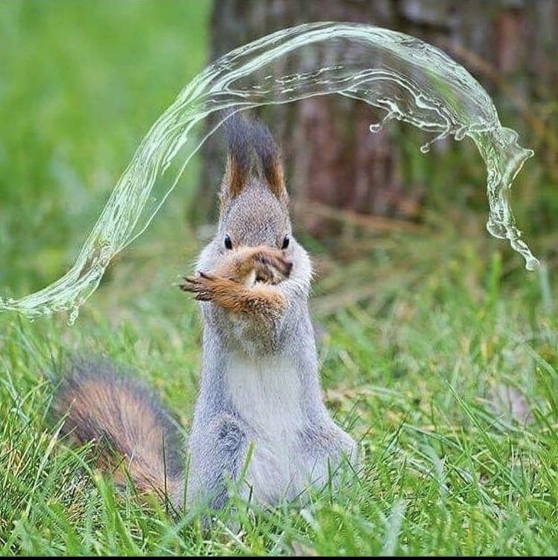 he__attac's tweet photo. @moonpluswhite Water bend that shit https://t.co/k0xUAF6j0B