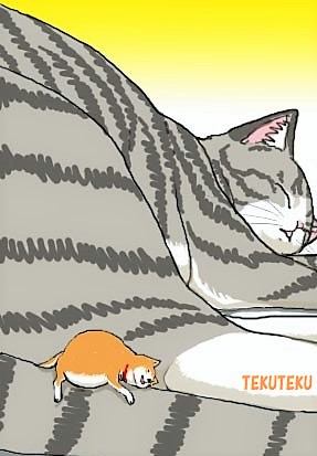 「小豆柴」その後('・ω・`)ワン♡
 #犬の日 #オリジナルイラスト #何度でも見てほしいお気に入りを貼るタグ 最後のは「黒豆猫」(=^・^=)ニャ♡ 