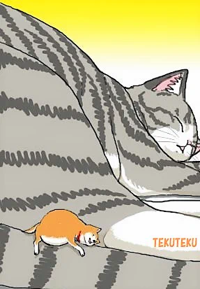 「小豆柴」その後('・ω・`)ワン♡
 #犬の日 #オリジナルイラスト #何度でも見てほしいお気に入りを貼るタグ 最後のは「黒豆猫」(=^・^=)ニャ♡ 