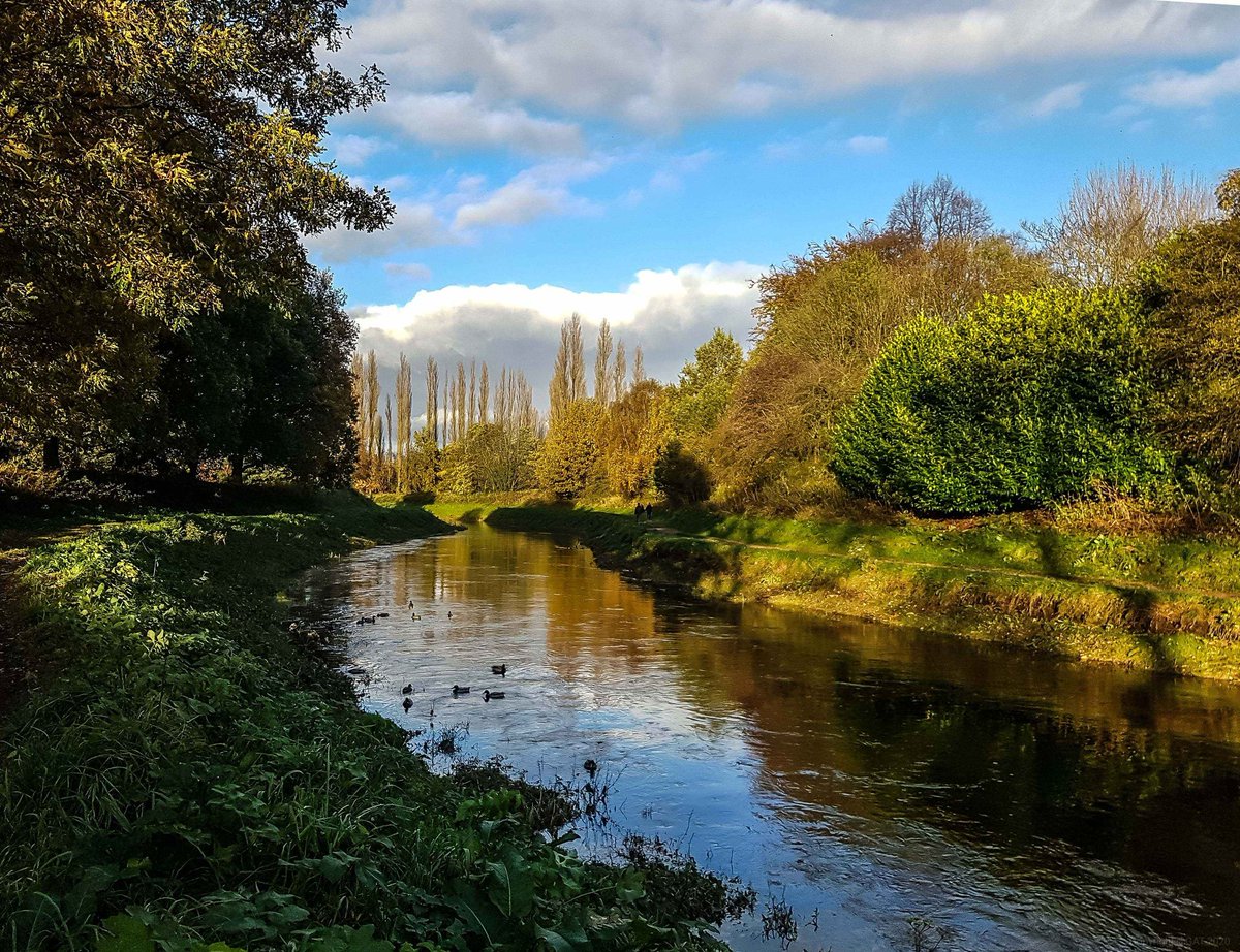 Canal walks #Manchester #landscapephotography #canalwalks #photography #PHOTOS #naturallightphotography