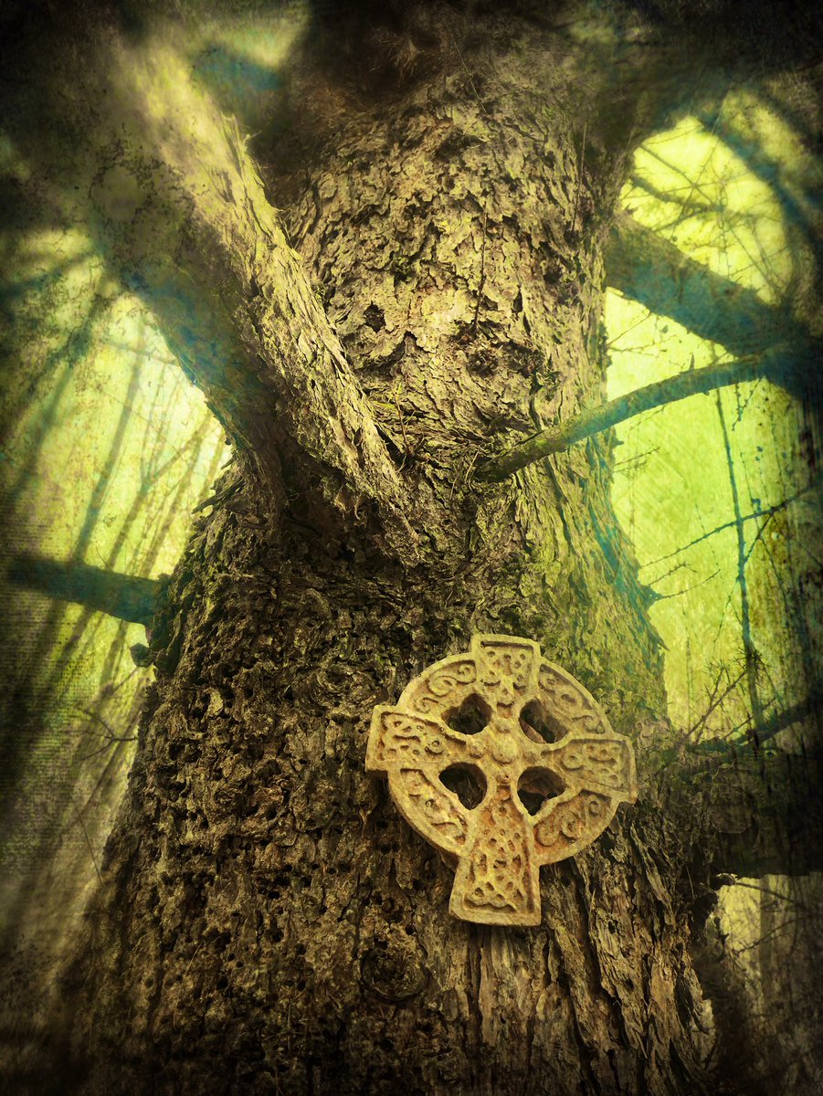 TheEnglishWitch's tweet photo. All is quiet ... on New Year’s Day 🌟

*Walks in Ancient Woodland 

#SamhainBlessings #OldeWays #WitchesNewYear #AncientCelts https://t.co/Od2xldPNOc