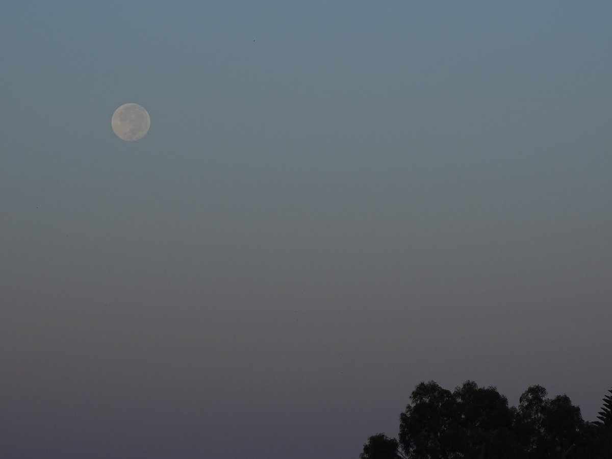 4iluj's tweet photo. #Ocaso #LunaAzul #decreciente 99% vista desde algún lugar en #Tláhuac #CiudadDeMéxico @El_Universo_Hoy https://t.co/K6hozPqh7p