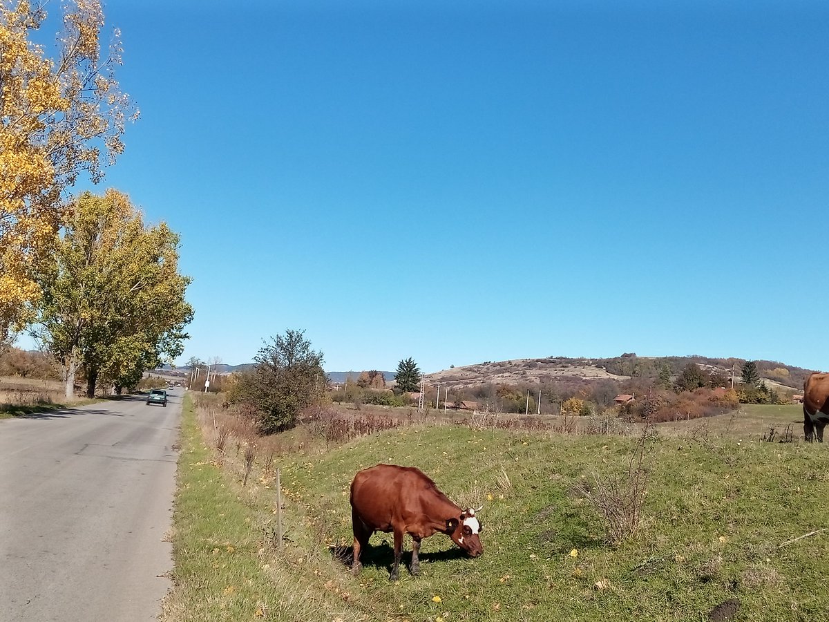 What a perfect sunny afternoom, 11 deg C ... I did my standard 50 km loop ... 100% happiness ...