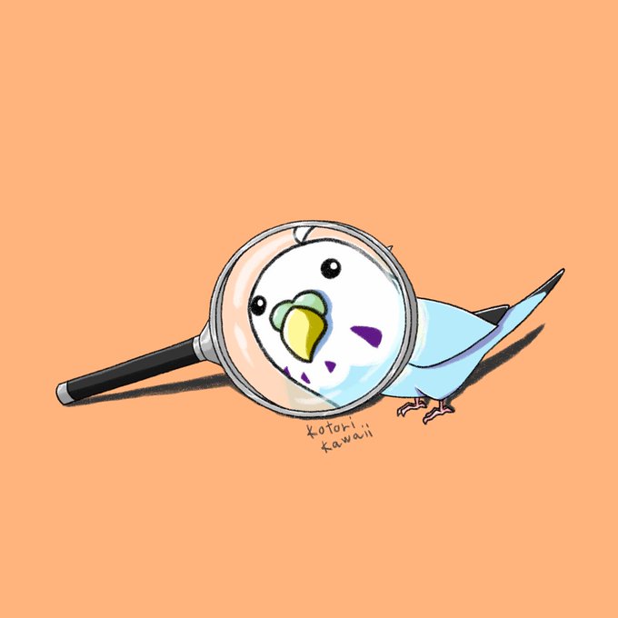 インコのtwitterイラスト検索結果