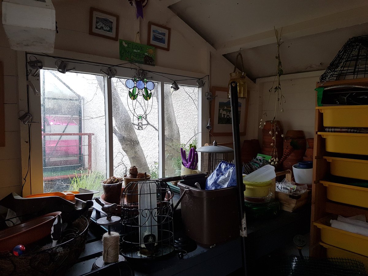 trishadurie's tweet photo. Taking refuge in my shed waiting for the shower to go off #wintergardening #leafclearing https://t.co/79WBq10TDw