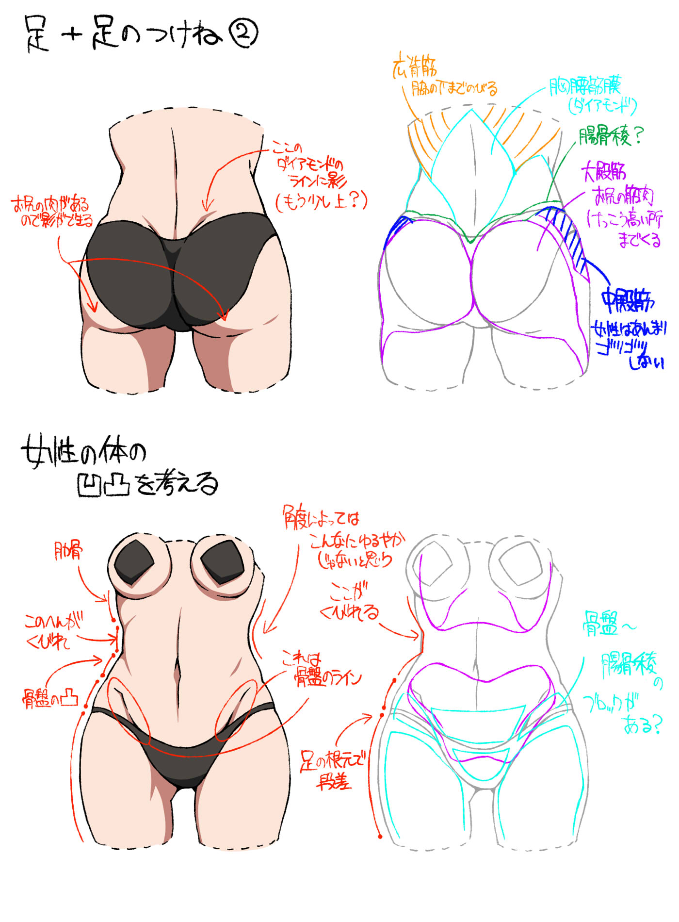 マンタン Twitter पर 骨盤の段差が見えるイラスト好きです でも だんだん良く分からなくなってきた T Co Ahdbuv8q96 Twitter