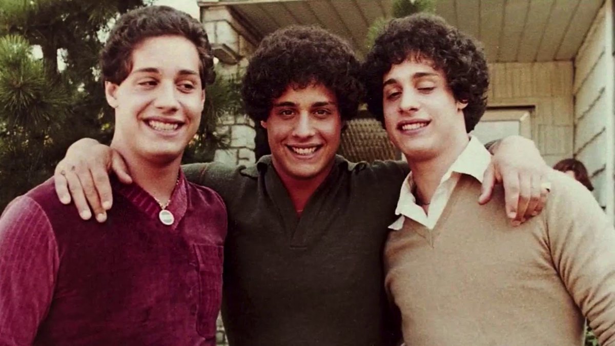 WindsorFilmFest's tweet photo. For this blustery November day, we can't think of anything better than cozying up with a great @HotDocs documentary. Here are a few #WIFF favourites:

THREE IDENTICAL STRANGERS screened at #WIFF2018
BRONX OBAMA at #WIFF2014
HONEYLAND at #WIFF2019 https://t.co/clrfxPoF73